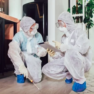 nettoyage après décès Nancy